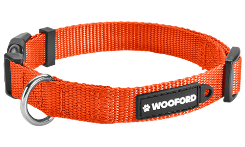 Orange justerbart hundhalsband med silver D-ring för namnbricka hund, lätt och slitstarkt för långvarig användning.