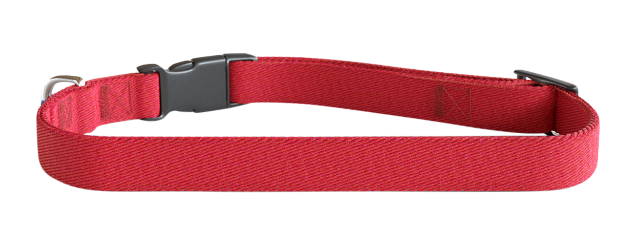 Broderade Hundhalsband Rött broderat hundhalsband, 30–46 cm långt och 1,5 cm brett, lätt nylon, anpassningsbart med hundens namn och detaljer.