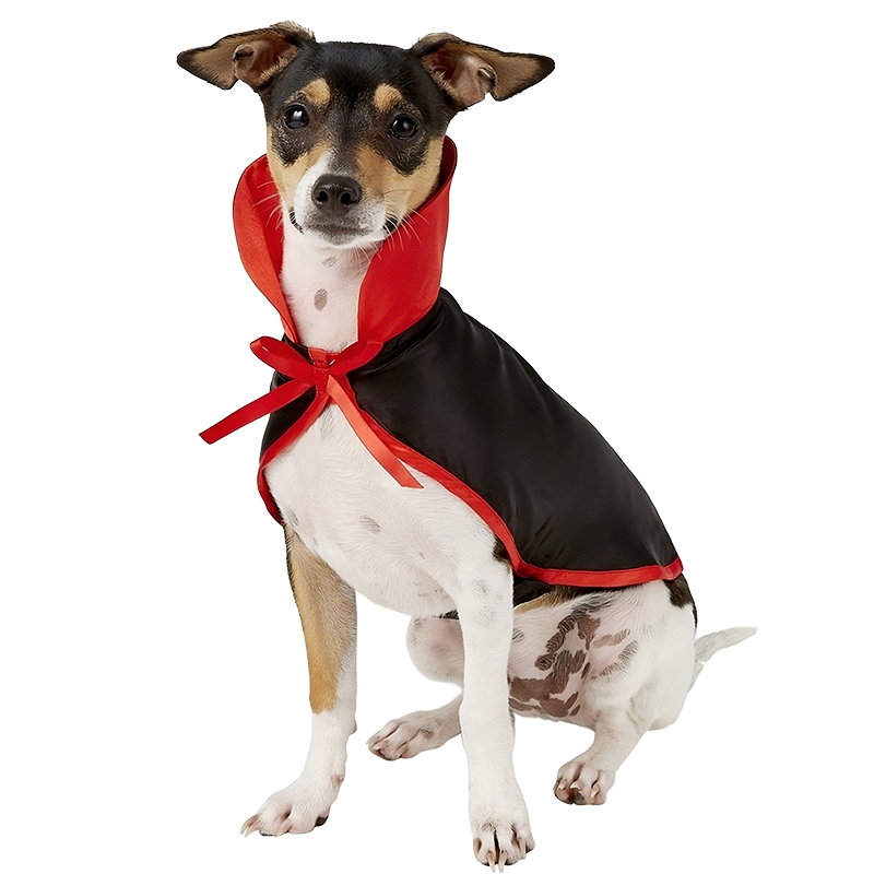 Vampyrdräkt för Hund till Halloween Hundvampyrdräkt i svart och rött med hög krage och fluga, 2-i-1-set, lätt, hållbar och justerbar.
