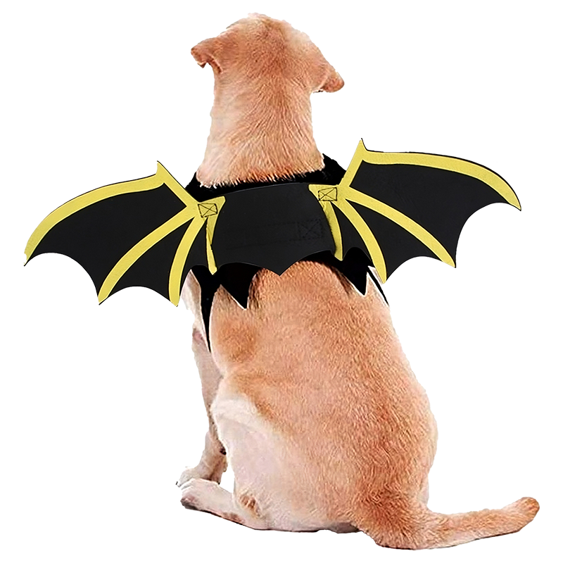 Fladdermusdräkt för Hund till Halloween