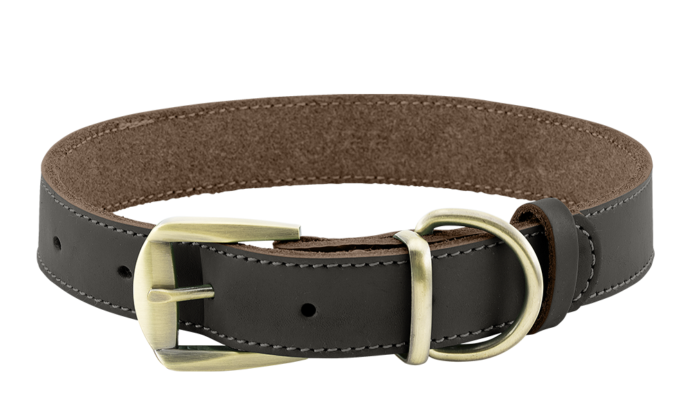 Lyxigt Hundhalsband i äkta Läder Lyxigt hundhalsband i äkta brunt läder med justerbart guldfärgat spänne, hållbart och starkt, med D-ring för koppel.