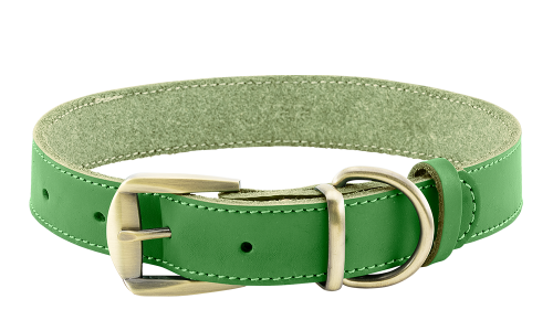 Lyxigt hundhalsband i äkta grönt läder, hållbart och starkt, tillverkat av högkvalitativt lädermaterial, med spänne.