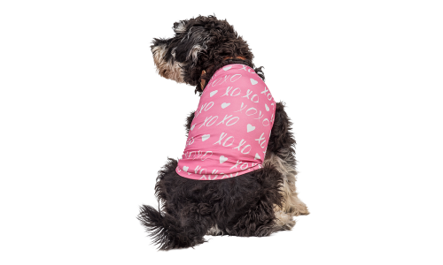 Hund som bär en liten rosa Alla hjärtans dag-väst med vitt hjärta och 'XOXO', designad som en festlig och stilfull outfit.