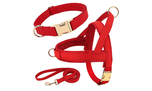 Rött hundsele-kit med matchande halsband och koppel, lätt, hållbart, bekväm och säker passform.