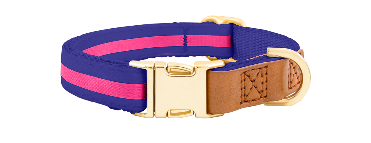 Hundhalsband med Guldspänne Blått hundhalsband med justerbart guldfärgat metallspänne, 33–55 cm långt och 2 cm brett, med D-ring för koppel.