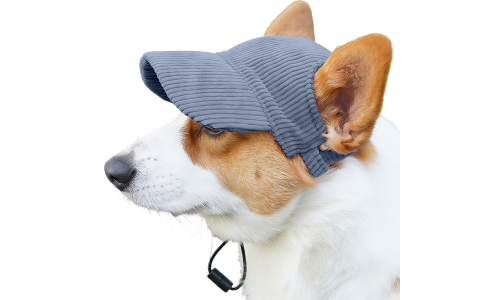 Corgi som bär en blå ribbad andningsbar sporthatt för hundar, lätt, skyddar mot solen under sommarutflykter.