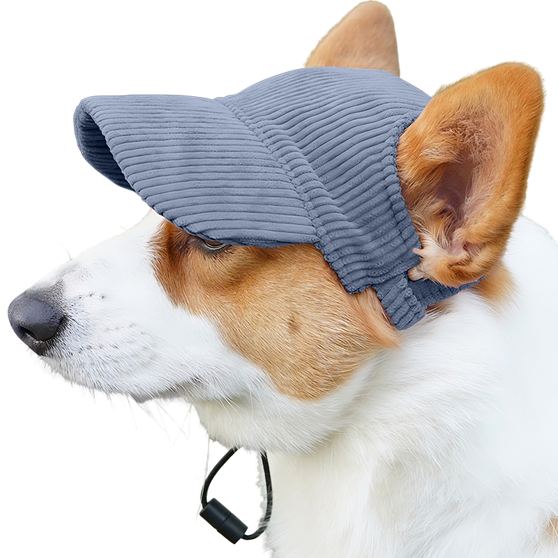 Andningsbar Sportkeps för Hund till Sommaren Corgi som bär en blå ribbad andningsbar sporthatt för hundar, lätt, skyddar mot solen under sommarutflykter.