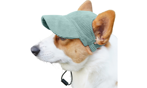 Corgi som bär en blå ribbad andningsbar sporthatt för hundar, lätt, högkvalitativ, med en sval och trendig look.