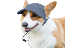 Corgi som bär en grön ribbad andningsbar sporthatt för hundar, moderiktig, mjukt och lätt canvasmaterial för komfort.