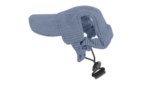 Corgi med en blå ribbad sporthatt, andningsbar och av hög kvalitet, för en sval och trendig stil.