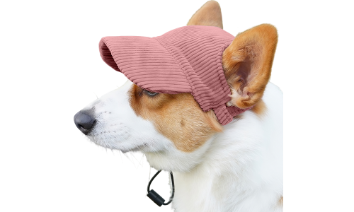 Corgi med en ljusrosa ribbad sporthatt, andningsbar och lätt, skyddar mot solen på sommaren.