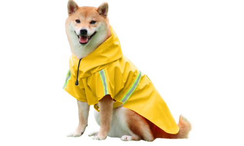 Shiba Inu i en vattentät gul regnrock med reflekterande remsor, enkel att ta på och av, för regniga promenader.