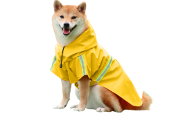 Shiba Inu i en vattentät gul regnrock med reflekterande remsor, enkel att ta på och av, för regniga promenader.