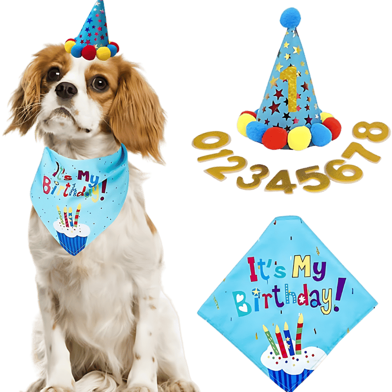Bandana-set för Hundens Födelsedag Blå födelsedagsset för hundar med en färgglad bandana 'It's My Birthday!', mjuk och hållbar.