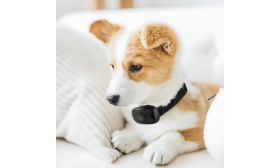 Skonsamt anti-skällhalsband för hundar med tassdesign, justerbart, passar hundar som väger 12–110 lbs och upp till 22 tum.