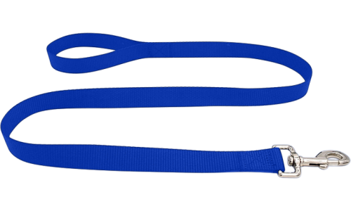 Hållbart blått nylonkoppel 120 cm, lätt att rengöra med slitstarkt material och säkert silverfäste för namnbricka hund.