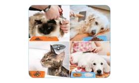 Giftfri Hundslickmatta med Slev