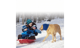 Ångestdämpande Hundhätta för att Skydda nos, öron och mot Vinterväder