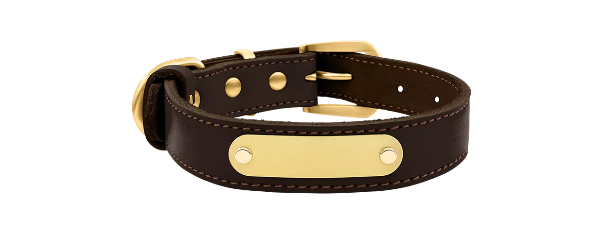 Lyxigt graverat hundhalsband i äkta läder Lyxigt hundhalsband i äkta brunt läder med inbyggd guldfärgad ID-platta för gravering av namn, 47–51 cm långt.