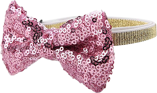 Glittrigt Partyhalsband med Fluga till Katter och små Hundar