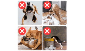 Justerbar och Reflekterande Munkorg för hundar - andningsbar & bekväm