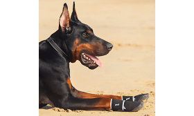 360° Reflekterande Vattentäta Hundskor – Halksäkra & Skyddande Skor för Hundens Tassar