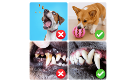 En av Våra Aktiveringsleksaker till Hund – Interaktiv Godisboll i Gummi