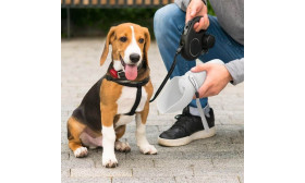 Hopfällbar Vattenflaska för Hundar 550 ml - Rese-Vattenskål i Livsmedelsklassad Silikon för Husdjur