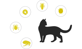 Naturligt skyddande lopphalsband för katt, perfekt för avvisande av fästingar, loppor och mygg, snyggt ihop med namnbricka.