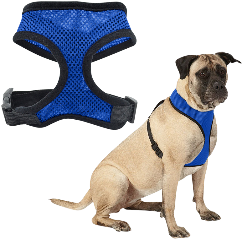 Hundsele Blå mesh hundsele, lätt och bekväm, med justerbara svarta remmar och hållbar klickspänne.