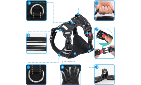 Detaljvy av halsband för hund utan dragning, liten storlek, med hållbara spännen, reflekterande sömnad och andningsbart nät.