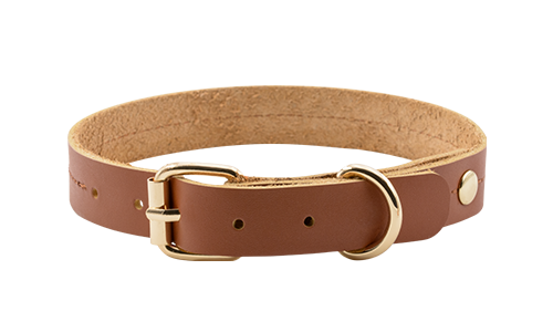 Lyxigt äkta läder Hundhalsband Ljusbrunt äkta läderhundhalsband, 27–34 cm långt, 2,2 cm brett, med slitstarkt guldfärgat spänne och D-ring för pålitlighet.