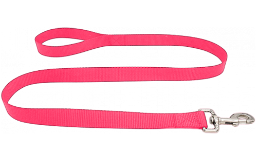 Hållbart rosa nylonkoppel 120 cm, lätt att rengöra, slitstarkt material och silverfäste för din hunds namnbricka.