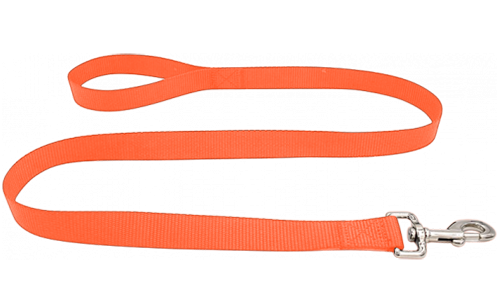 Hållbart orange nylonkoppel 120 cm, enkelt att rengöra och slitstarkt med silverfäste, perfekt för namnbricka hund.