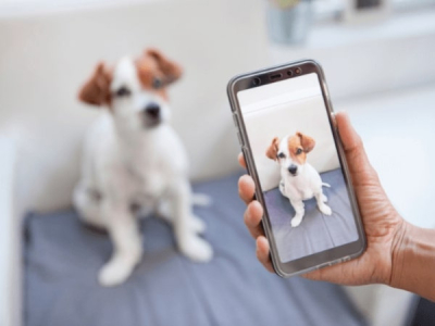 Insta-erbjudande: Så får du tillgång till gratis erbjudanden för din hund på Instagram