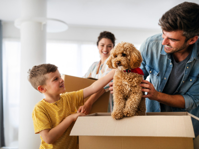 Första tiden med valp – Så förbereder du dig och valpen för en trygg start i sitt nya hem